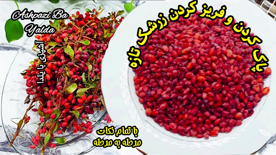 پاک کردن زرشک تازه/خشک کردن زرشک/فریز کردن زرشک با ماندگاری بالا با تمام نکات