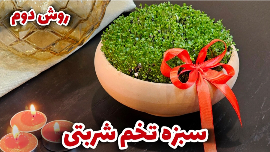 آموزش کاشت سبزه تخم شربتی سریع و زیبا / سبزه تخم شربتی / سبزه عید